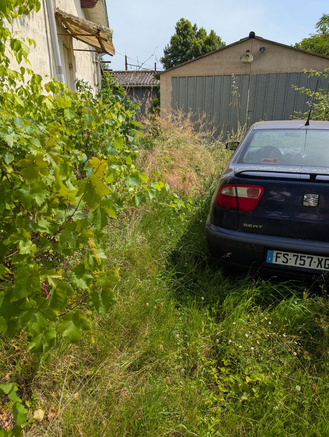 Avant intervention de ADL-Jardins & Paysages
