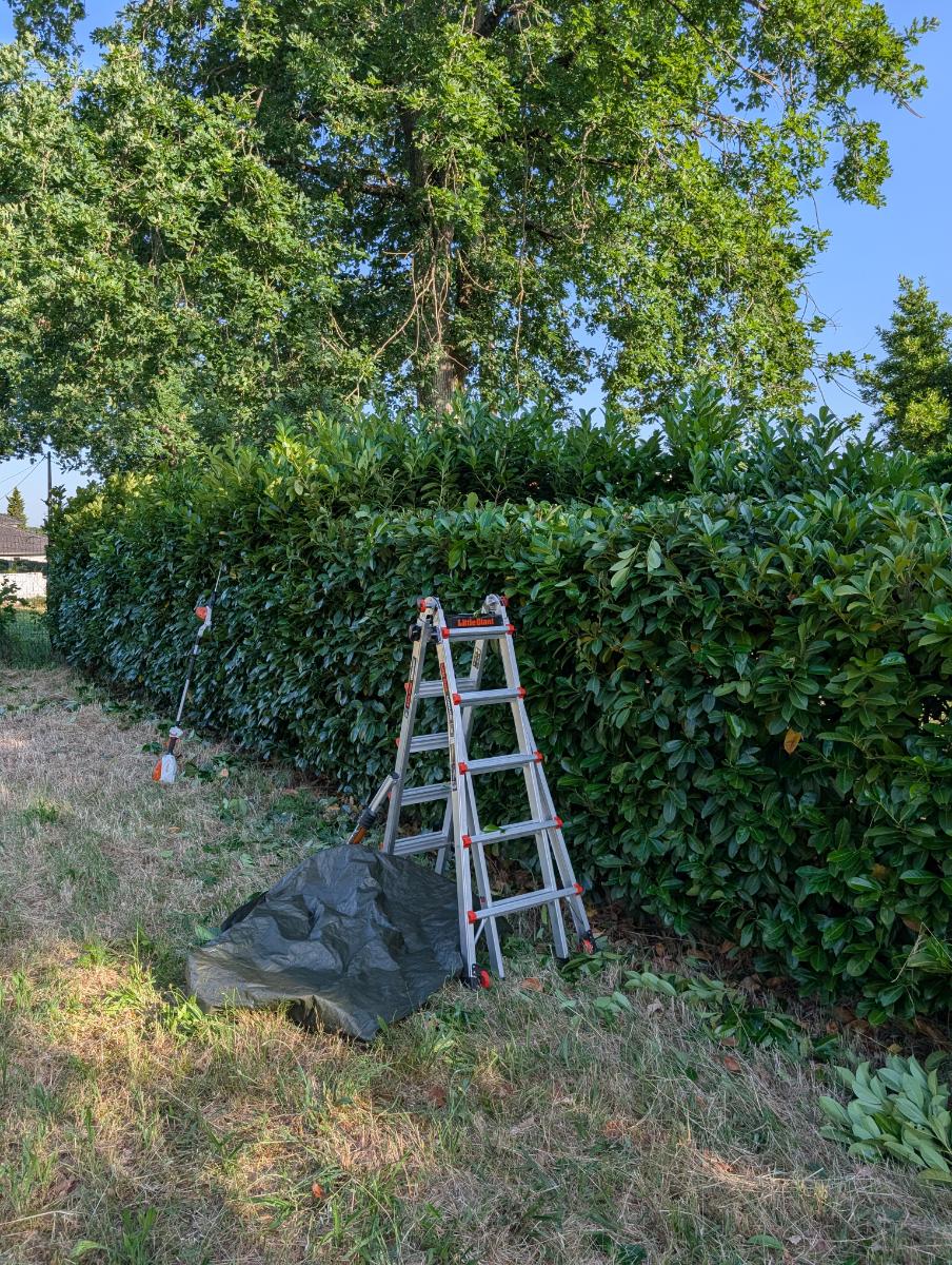 Chantier d'entretien de jardin réalisé par ADL-Jardins & Paysages, paysagiste du réseau Factotum, près de Mérignac