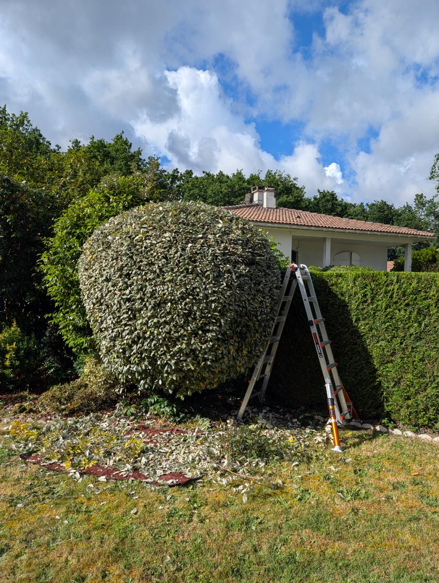 Chantier d'entretien de jardin réalisé par ADL-Jardins & Paysages, paysagiste du réseau Factotum, près de Mérignac