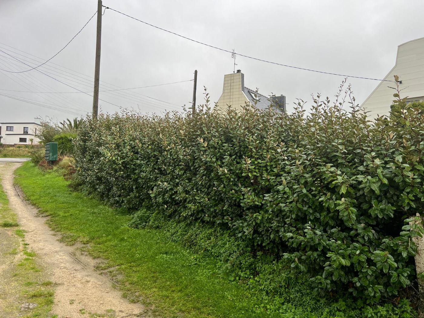 Taille et rabattage, Plouarzel, réalisé par Antoine Machacek