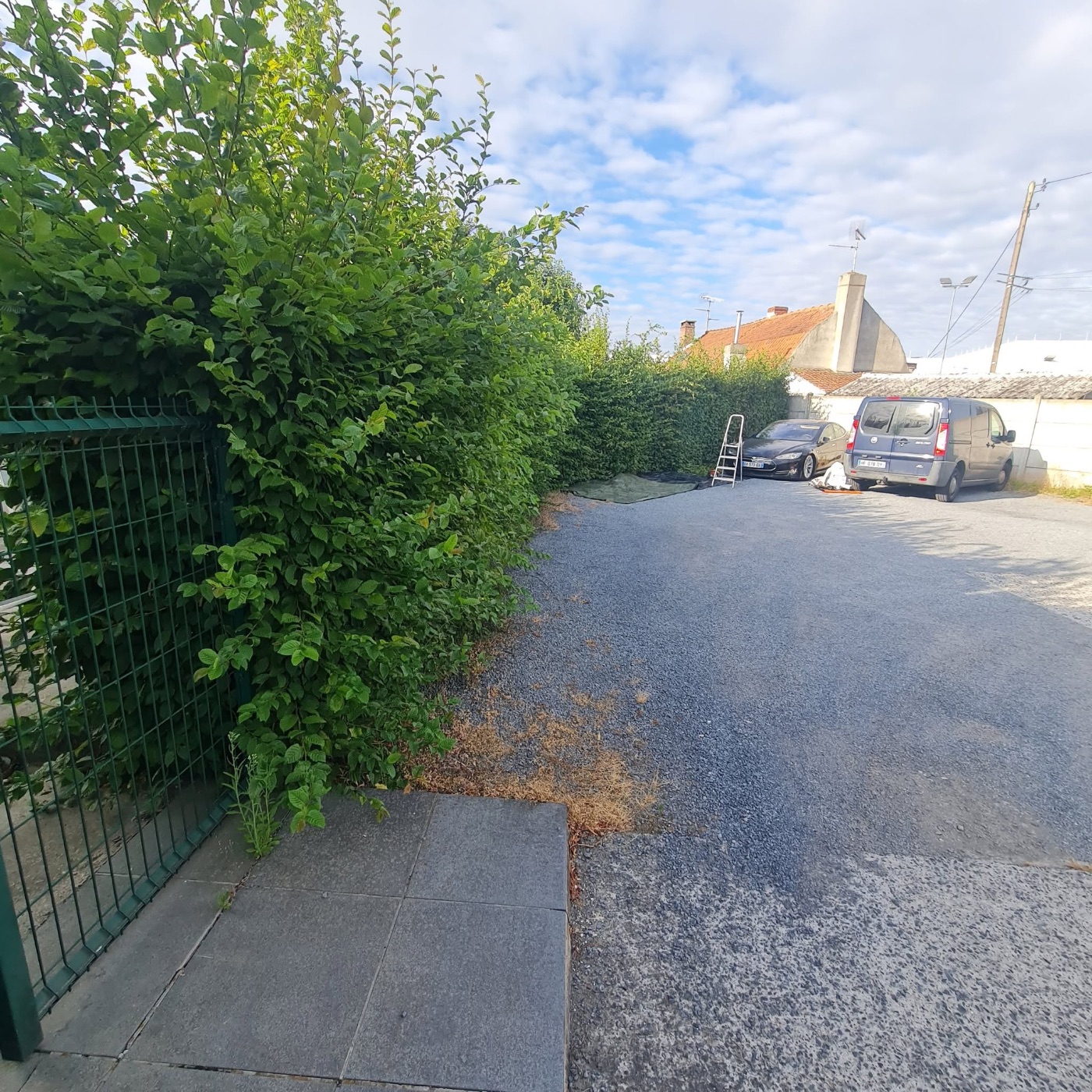 Avant intervention de Arboria , paysagiste du réseau Factotum à Lille