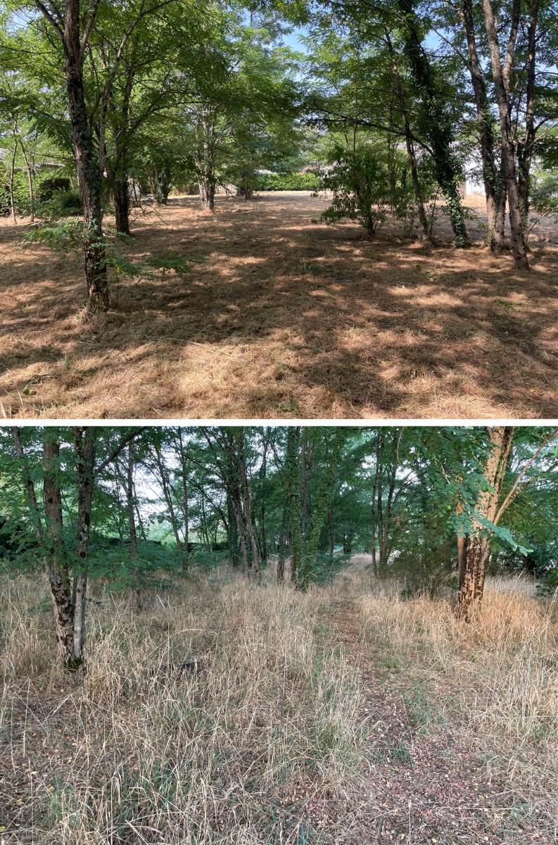 Chantier d'entretien de jardin réalisé par Au Soleil Des Espaces Verts, paysagiste du réseau Factotum, près de Léognan