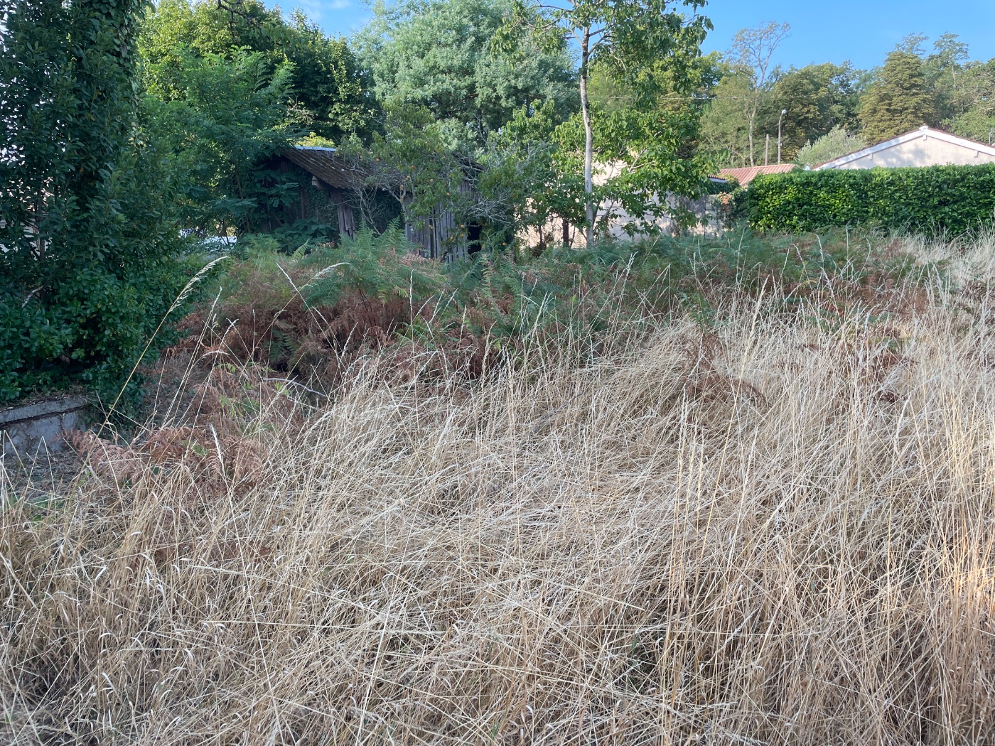 Débroussaillage d’une parcelle de 5000m2, Pessac, réalisé par Au Soleil Des Espaces Verts