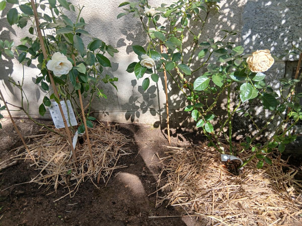 Chantier d'entretien de jardin réalisé par Beglan LOUIS, paysagiste du réseau Factotum, près de Montsalvy