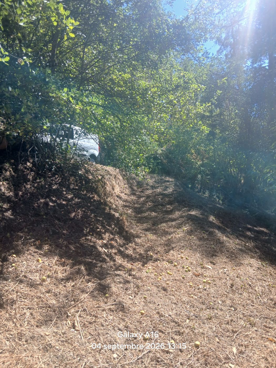 Remise au propre d'un terrain en pente., Campouriez, réalisé par Beglan LOUIS