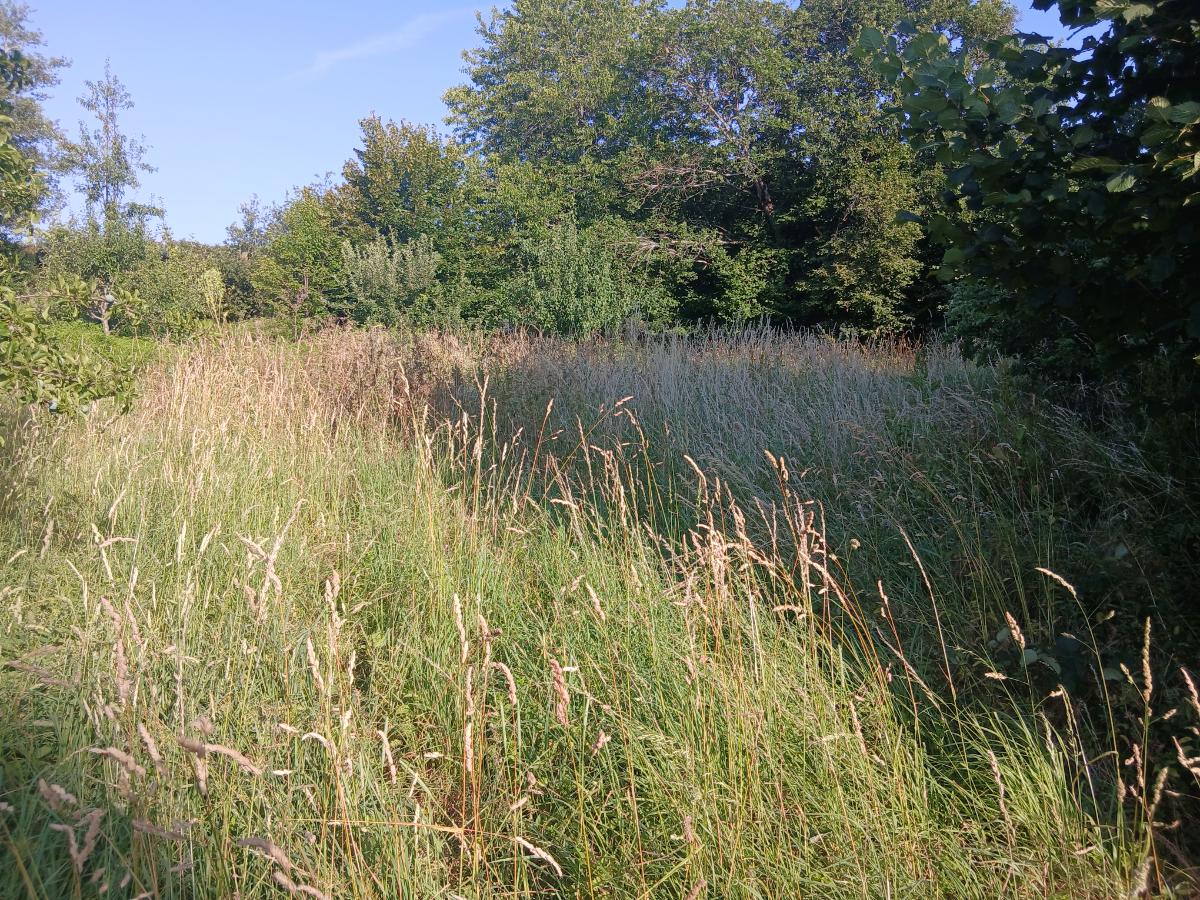 Chantier d'entretien de jardin réalisé par Beglan LOUIS, paysagiste du réseau Factotum, près de Montsalvy