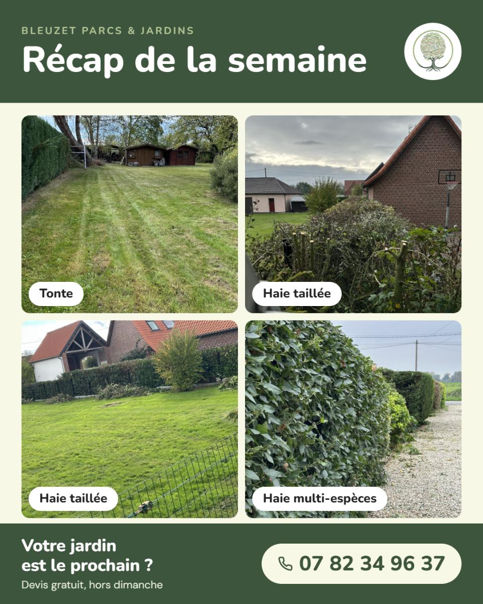 Chantier réalisé par BLEUZET Parcs et Jardins