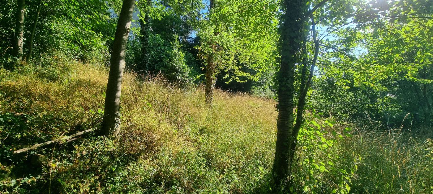 Herbes hautes au Verger, Rimont, réalisé par CERCLE VERT