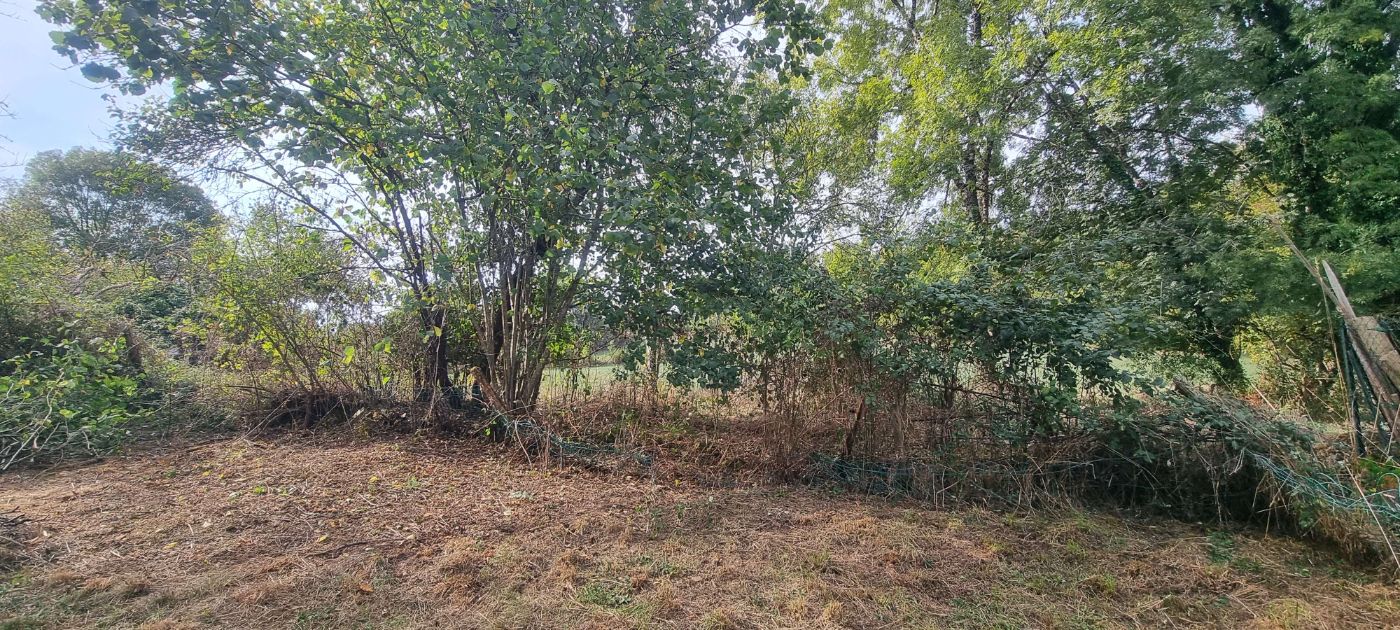Chantier de Remise en état réalisé à Durban-sur-Arize par CERCLE VERT, paysagiste du réseau Factotum