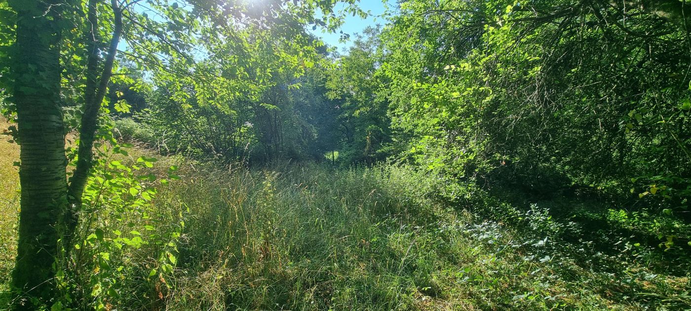 Herbes hautes au Verger, Rimont, réalisé par CERCLE VERT