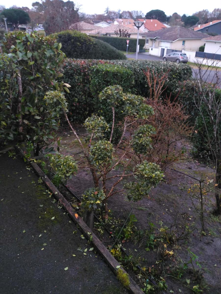 Chantier d'entretien de jardin réalisé par Daniel le jardinier, paysagiste, près de Ychoux