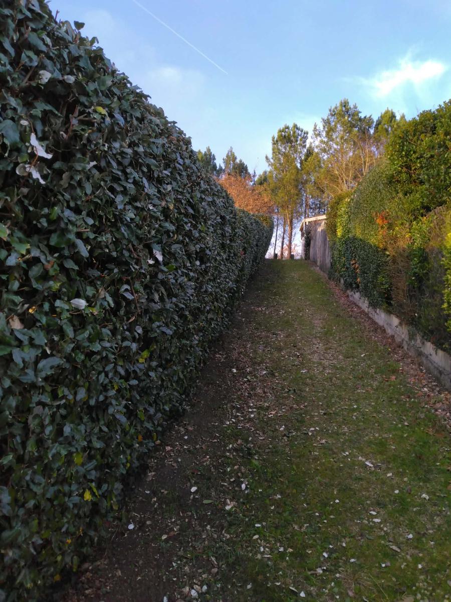 Chantier d'entretien de jardin réalisé par Daniel le jardinier, paysagiste, près de Ychoux