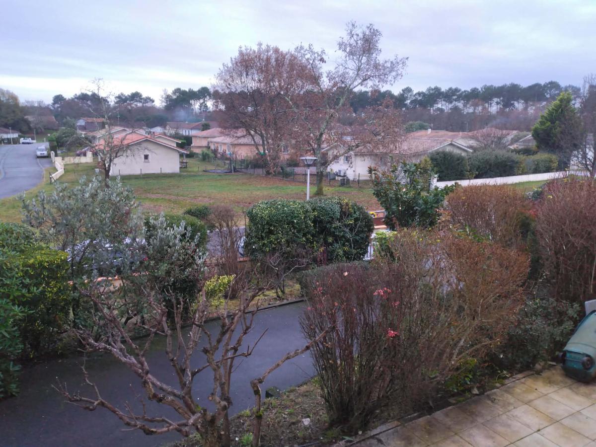 Chantier d'entretien de jardin réalisé par Daniel le jardinier, paysagiste, près de Ychoux
