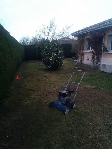 Pelouse a scarifier a ychoux, Ychoux, réalisé par Daniel le jardinier