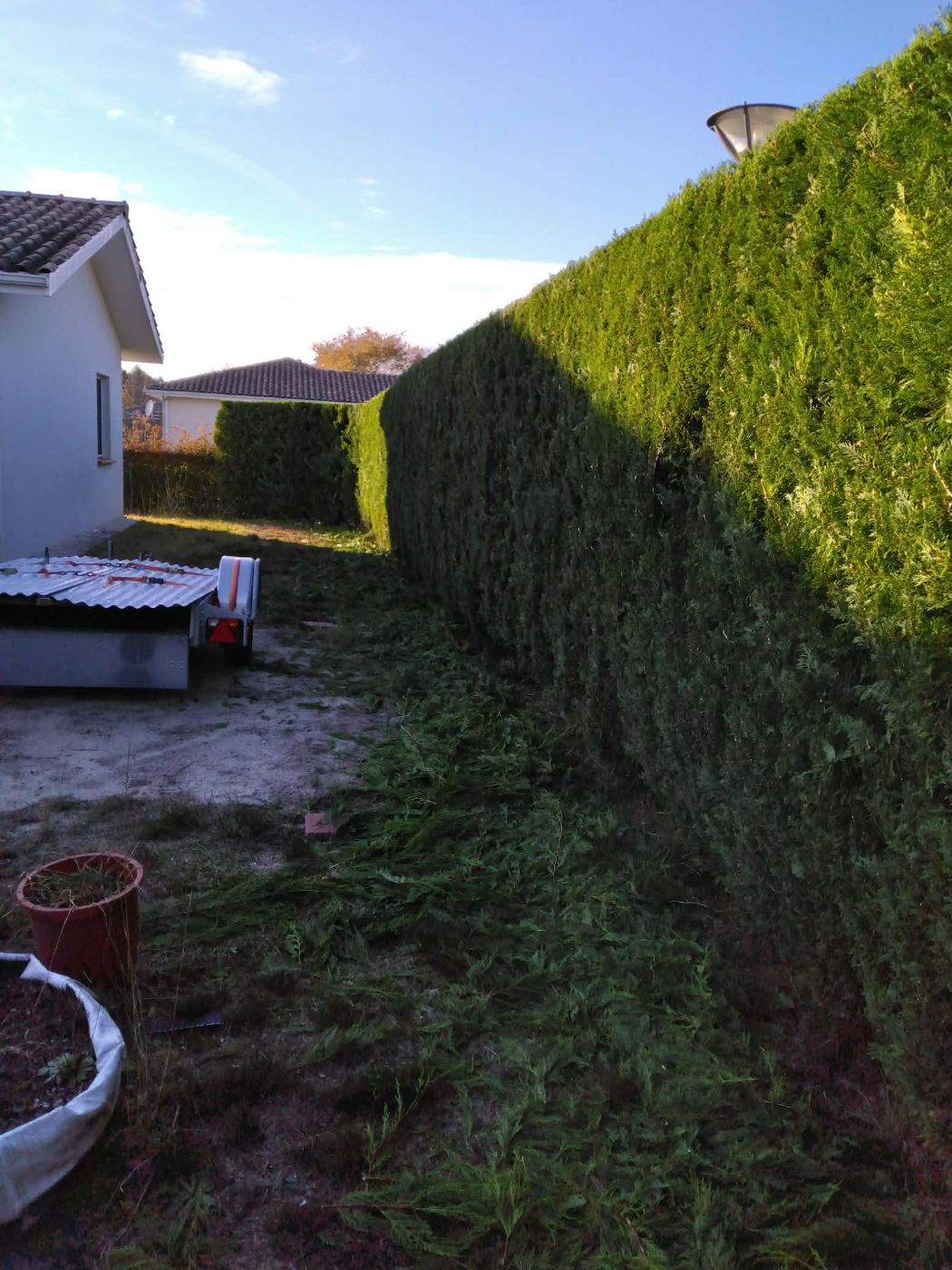 Taille de haie, Ychoux, réalisé par Daniel le jardinier