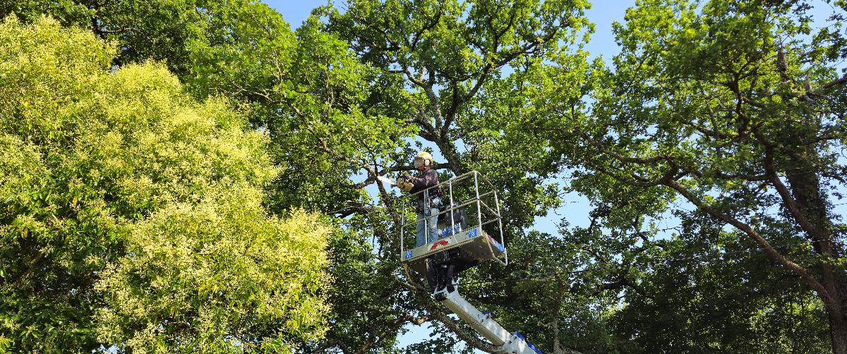 Chantier réalisé par Entre Deux Feuilles
