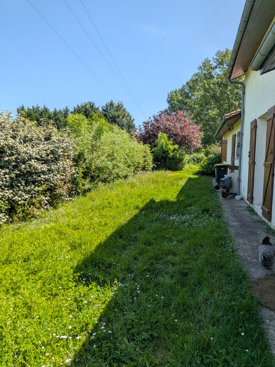 La pelouse avait pris le dessus, Peujard, réalisé par François Jardinier