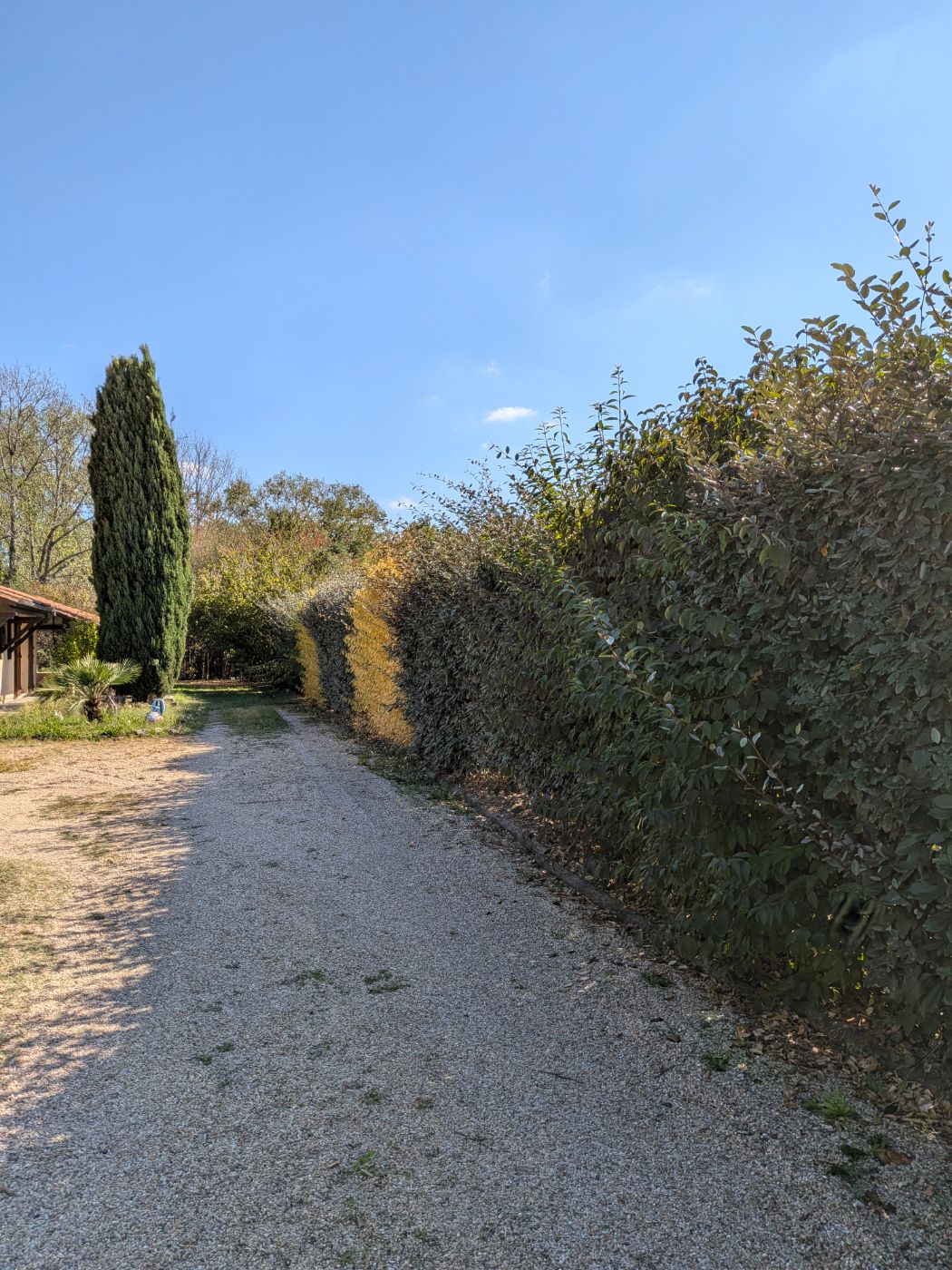 Taille de haïe Gauriaguet, réalisé par François Jardinier