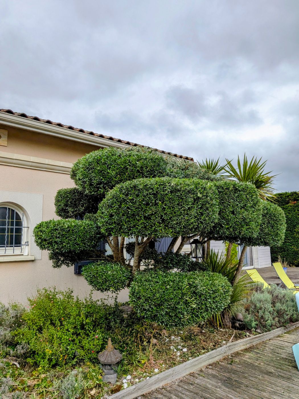 Taille d’arbustes à Saint-André-de-Cubzac, réalisé par François Jardinier