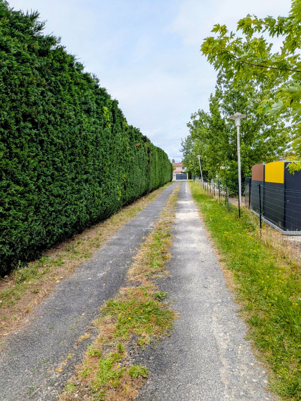Taille de haïe saint André de cubzac, Saint-André-de-Cubzac, réalisé par François Jardinier
