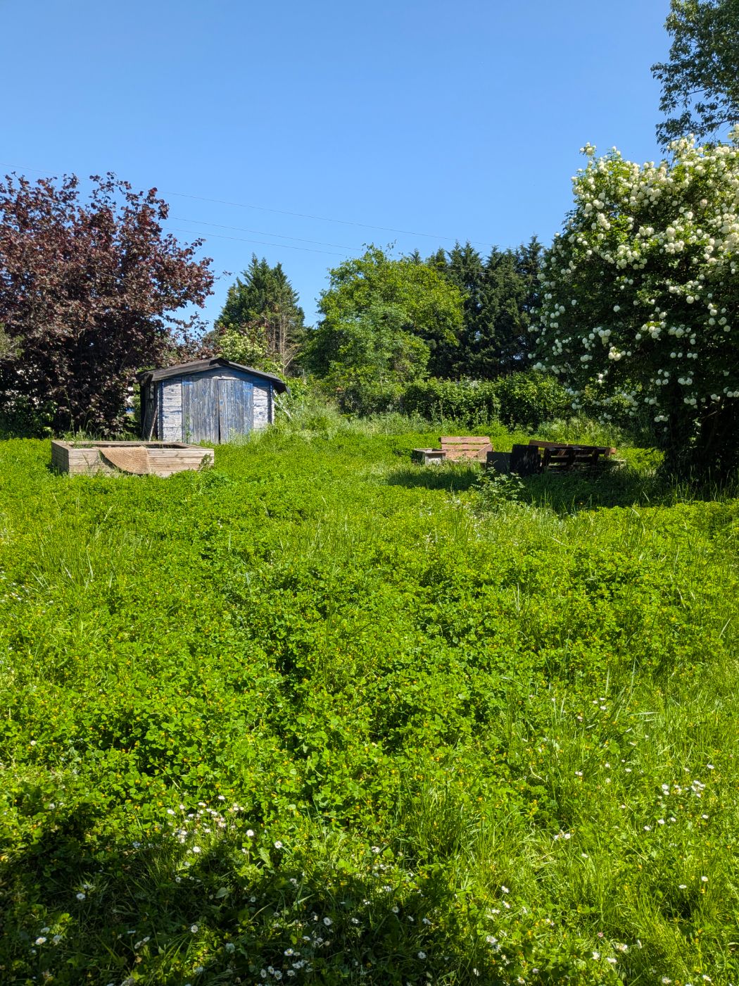 La pelouse avait pris le dessus, Peujard, réalisé par François Jardinier