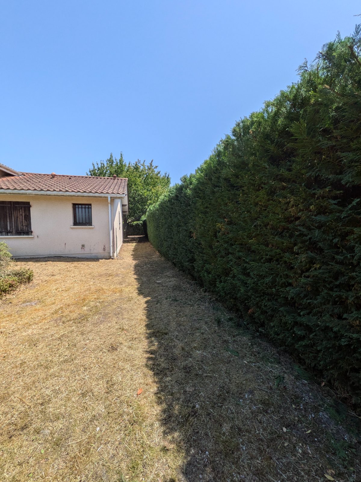 Chantier d'entretien de jardin réalisé par François Jardinier , paysagiste du réseau Factotum, près de Gauriaguet
