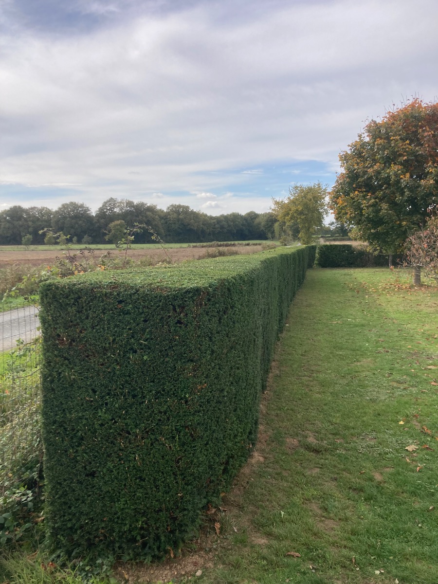 Chantier d'entretien de jardin réalisé par François LANOË Pro, paysagiste du réseau Factotum, près de Châteaubriant