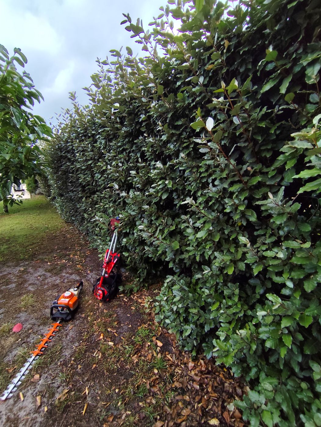 Rabattage de haie à Sanguinet, réalisé par G.Services40