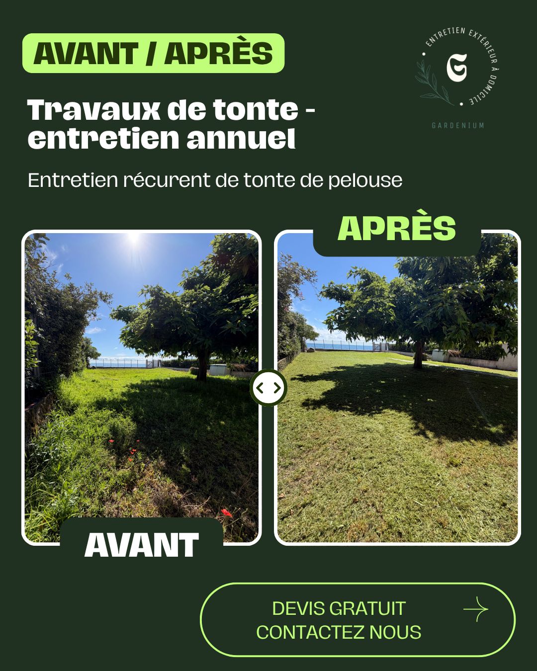 Entretien régulier de pelouse, Borgo, réalisé par Gardenium