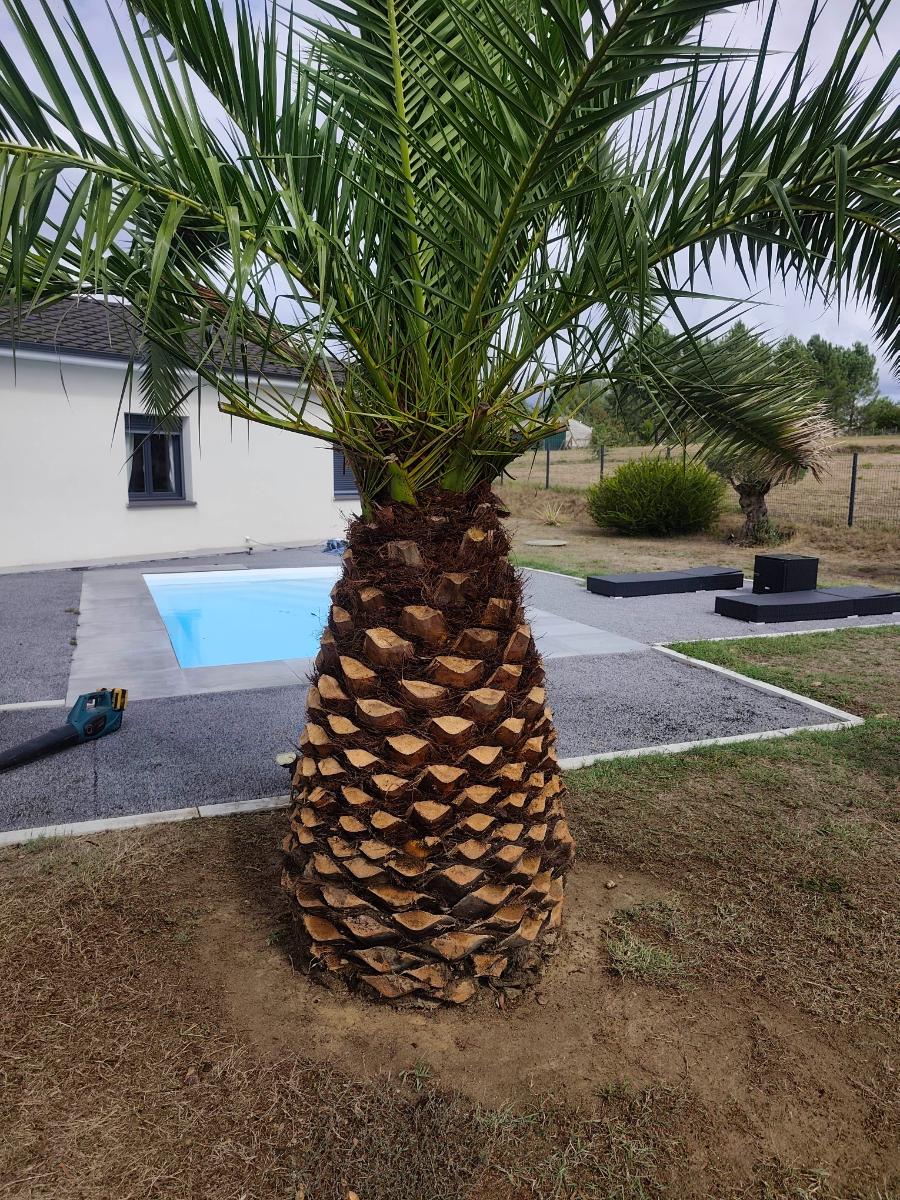 Chantier réalisé par Jardilence
