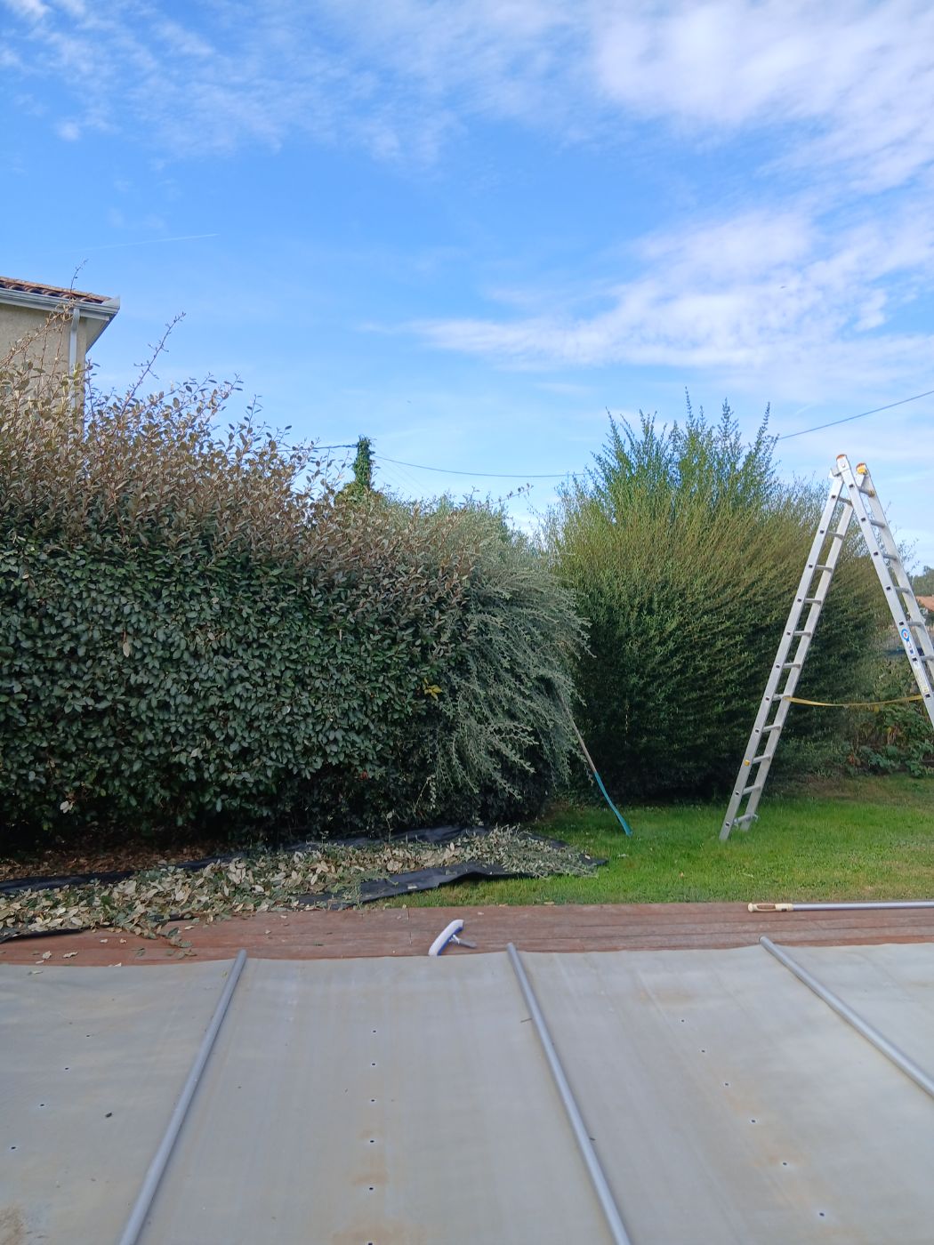 Avant intervention de Jardin cesu