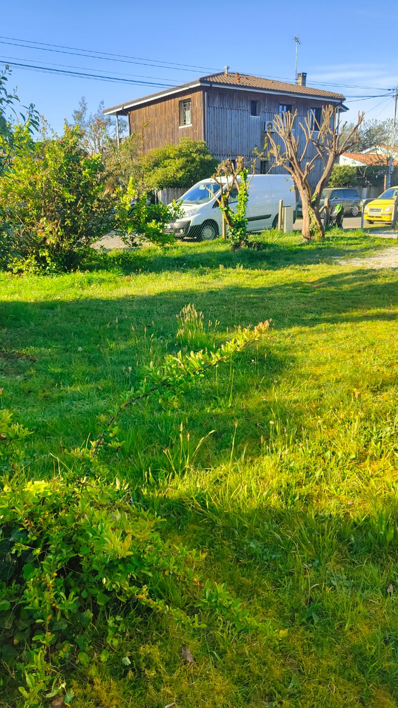 Avant intervention de Jardin du Large