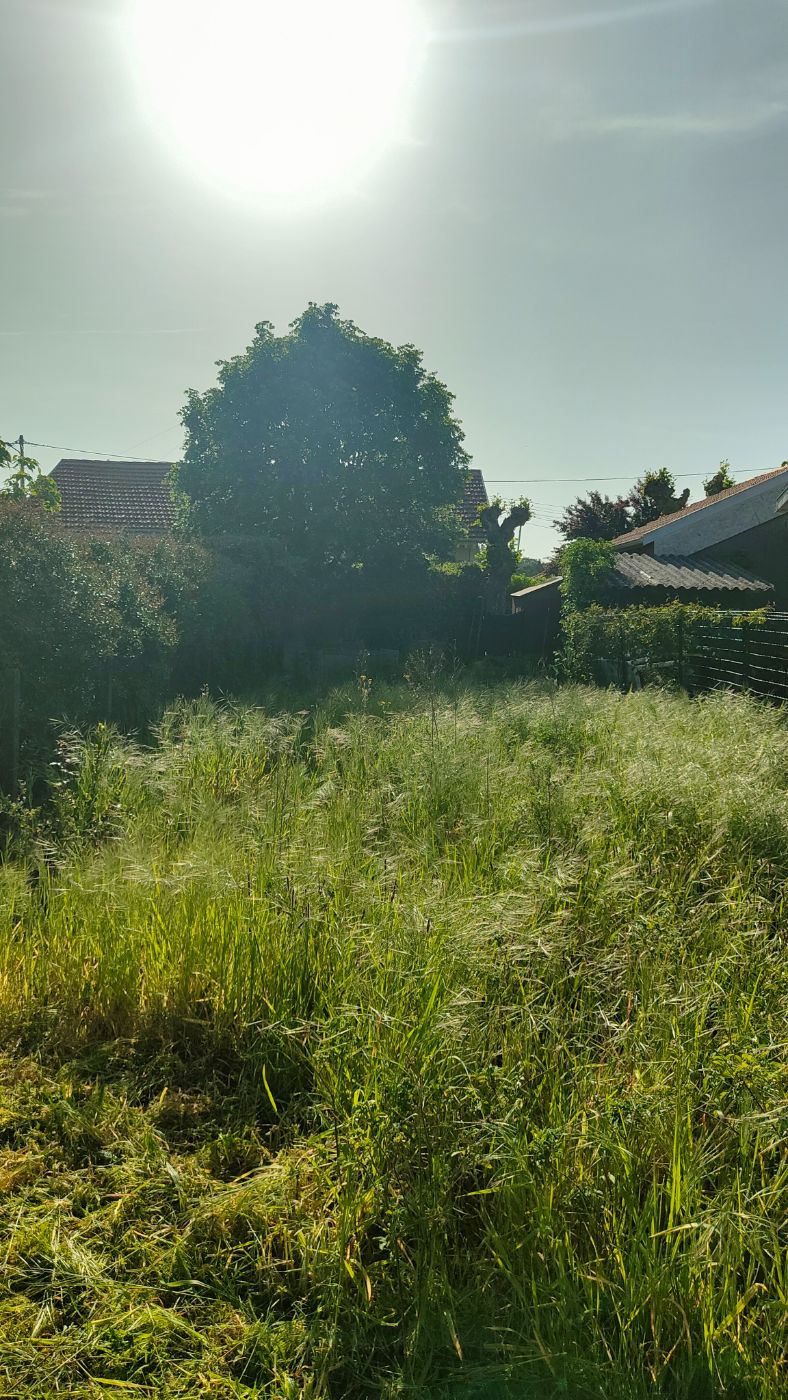 Avant intervention de Jardin du Large