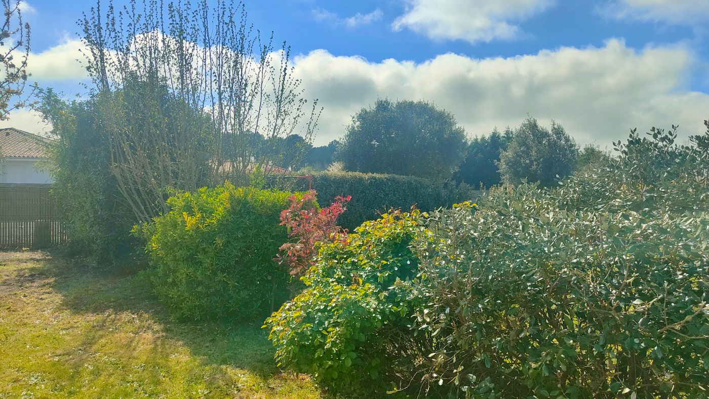 Avant intervention de Jardin du Large