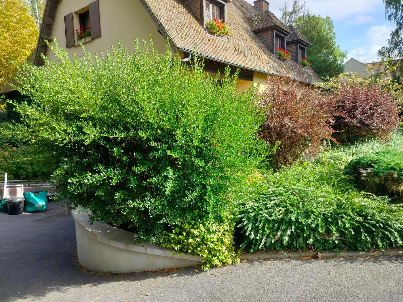 Préparation hivernale, Mesnil-Saint-Laurent, réalisé par JardiNET'