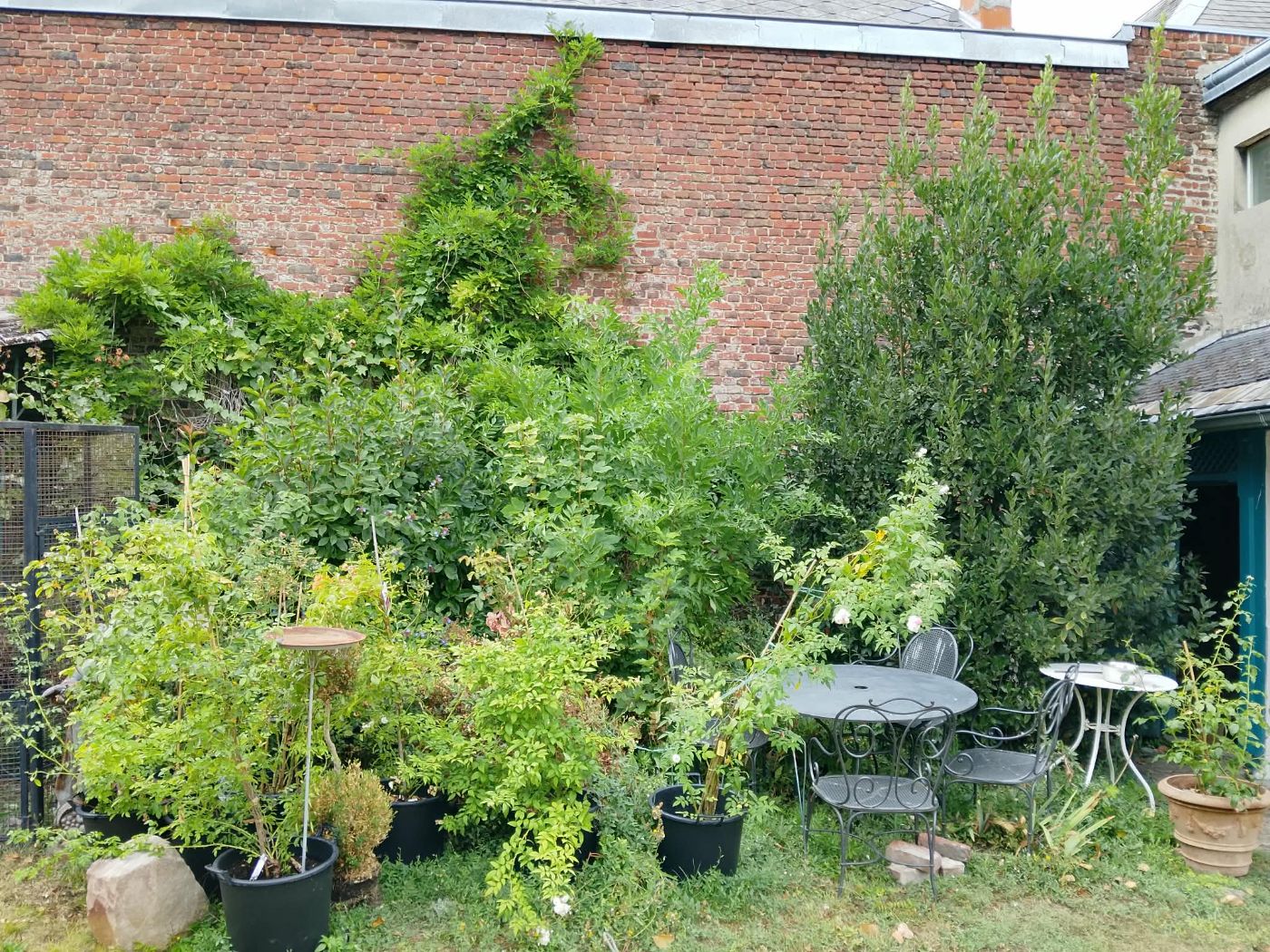Avant intervention de JardiNET'