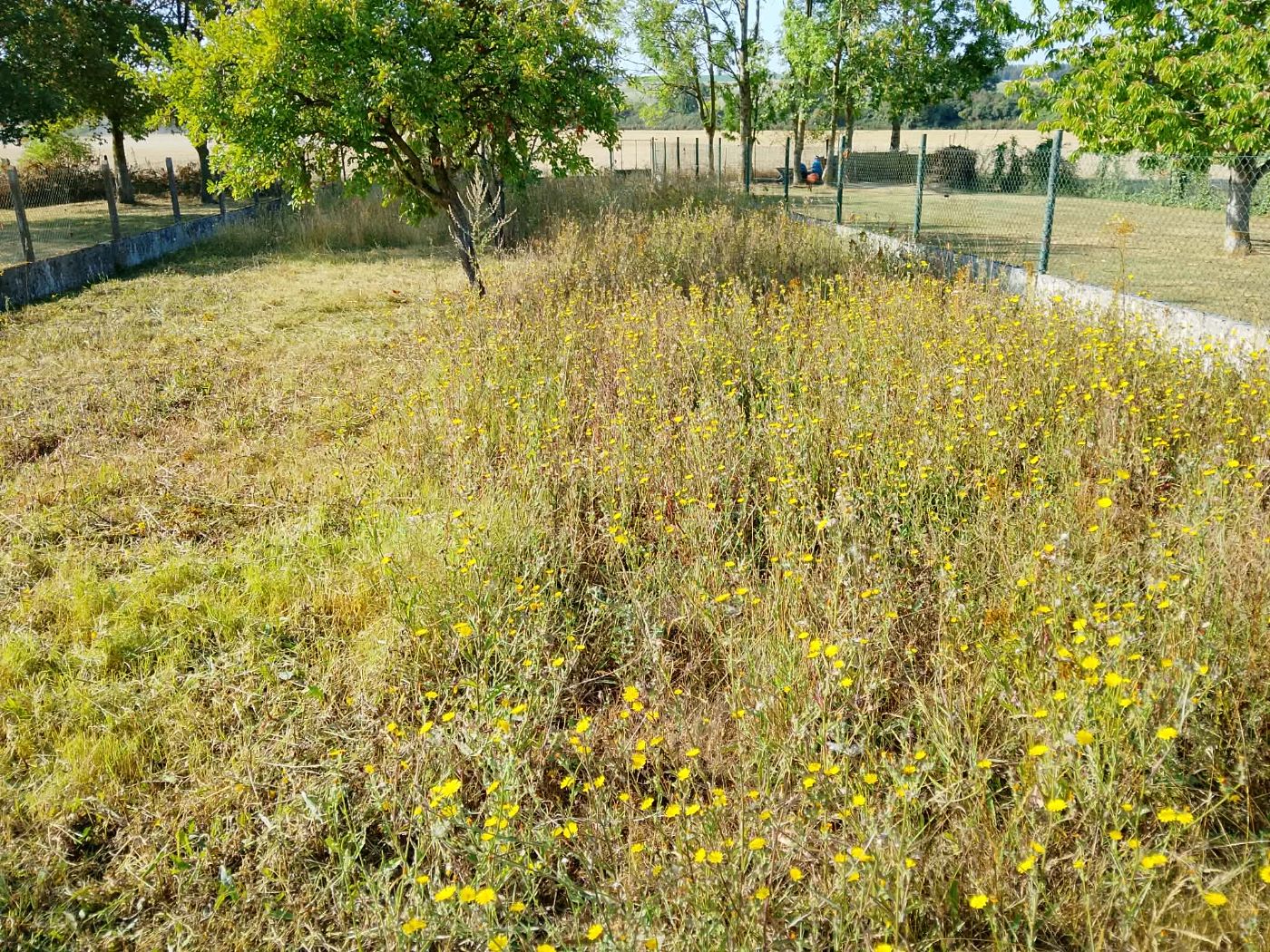 Réfection de terrain, Bellenglise, réalisé par JardiNET'