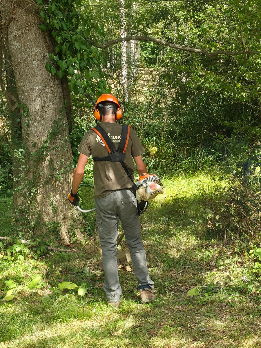 Chantier d'entretien de jardin réalisé par Juhora, paysagiste du réseau Factotum, près de Clermont-l'Hérault