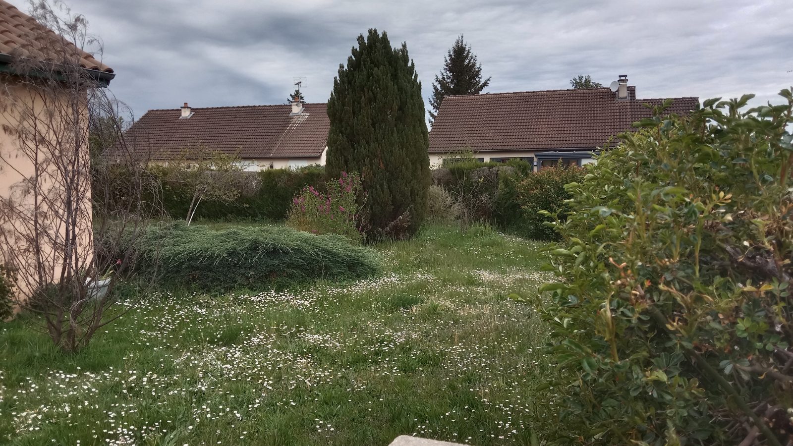 Avant intervention de '+esc(c.entreprise)+', paysagiste du réseau Factotum