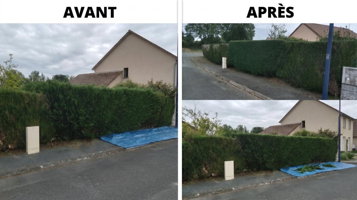 Chantier réalisé par Julien jardinier paysagiste