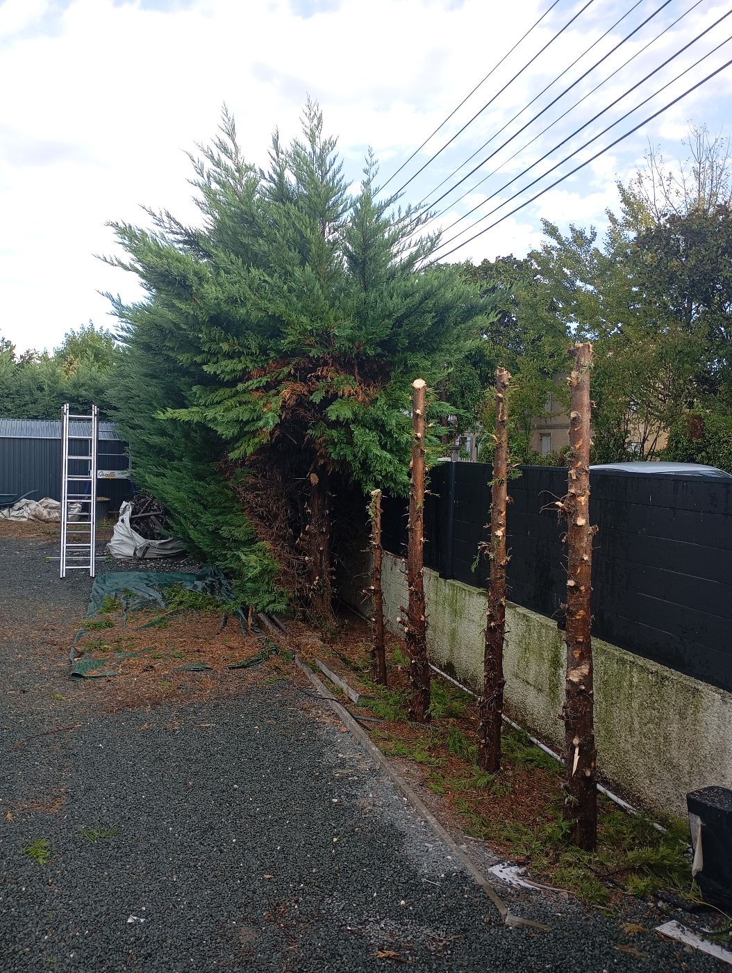 Abattage de 85 mètres de Haie, Génissac, réalisé par Le Jardin de Yoann