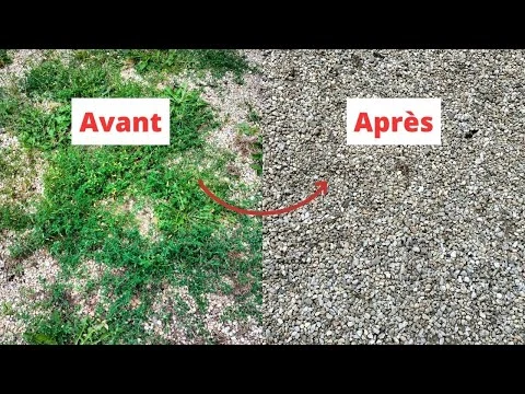 Résulat