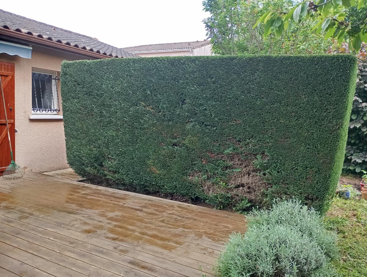Chantier d'entretien de jardin réalisé par Le Jardin de Yoann, paysagiste du réseau Factotum, près de Les Billaux