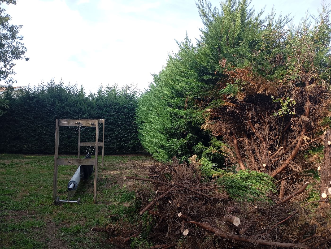 Abattage de 85 mètres de Haie, Génissac, réalisé par Le Jardin de Yoann