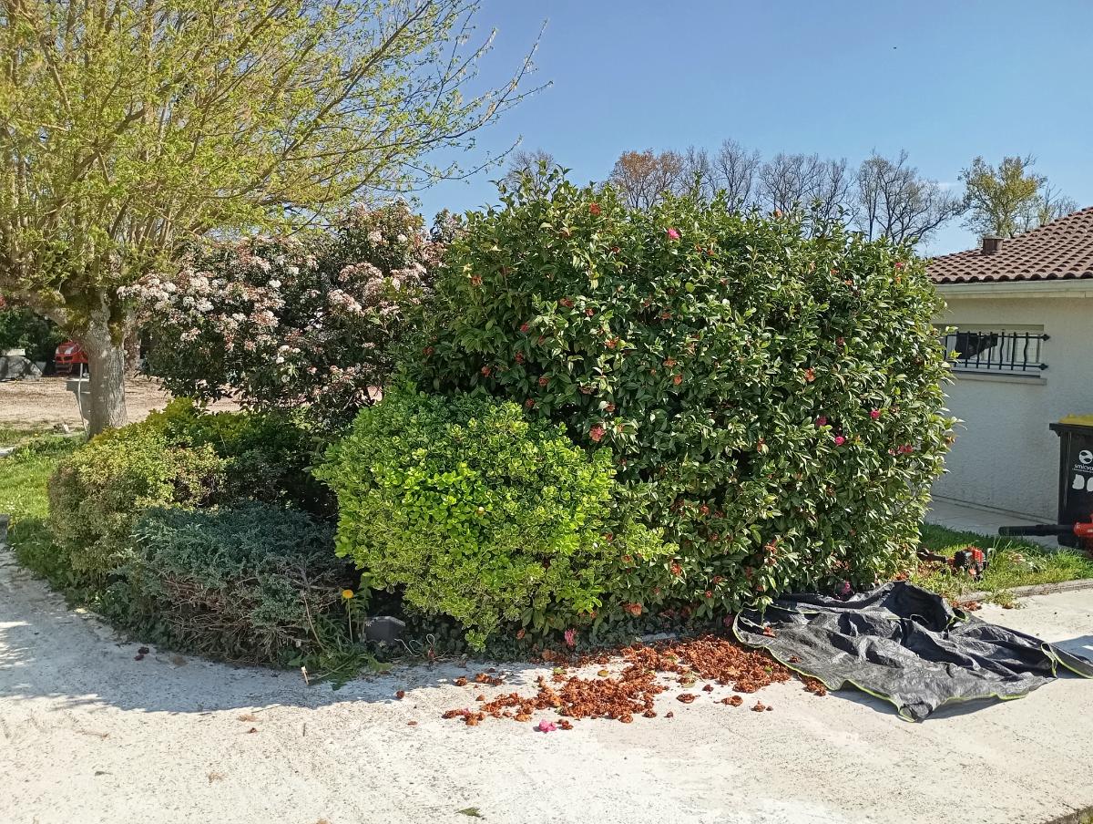 Chantier d'entretien de jardin réalisé par Le Jardin de Yoann, paysagiste du réseau Factotum, près de Les Billaux