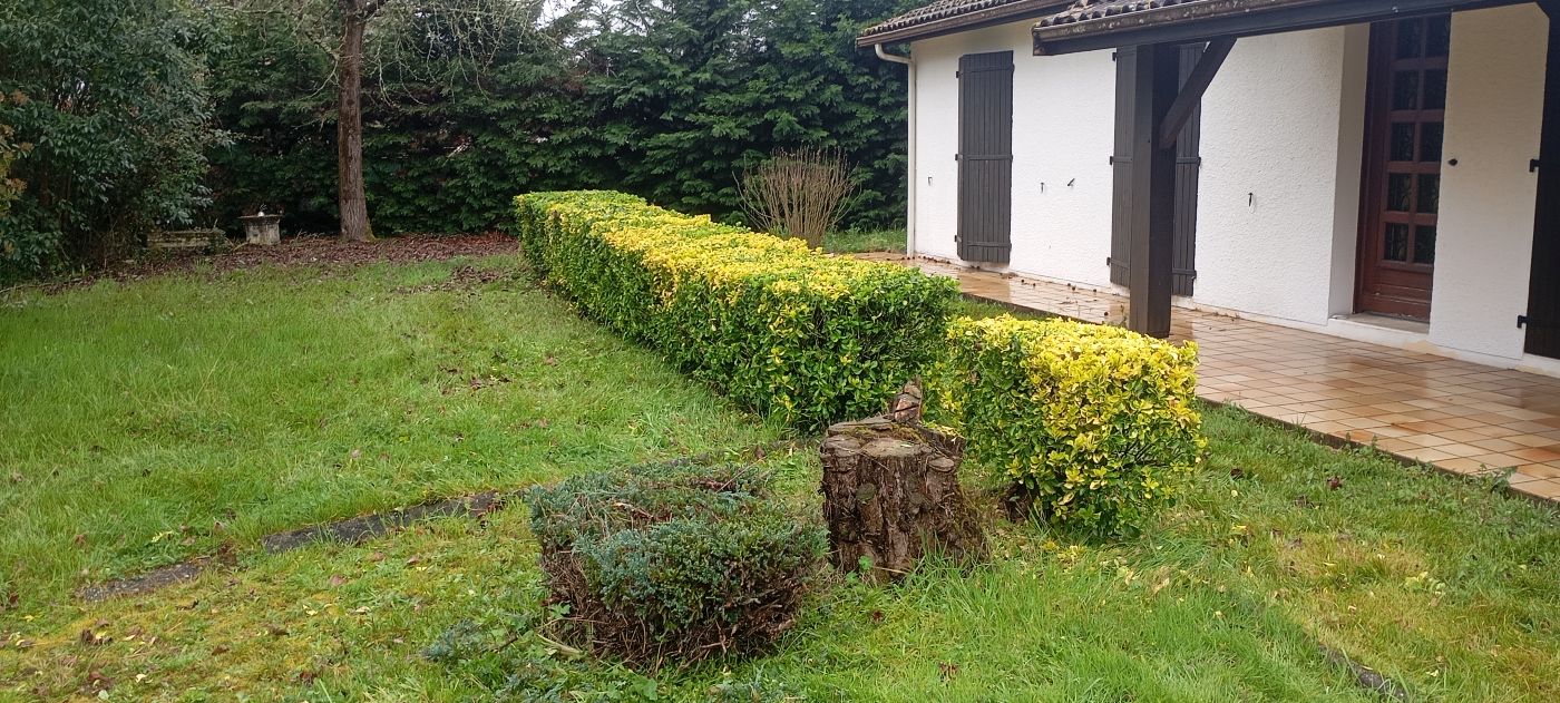 Taille haie, Saint-Denis-de-Pile, réalisé par Le Jardin de Yoann