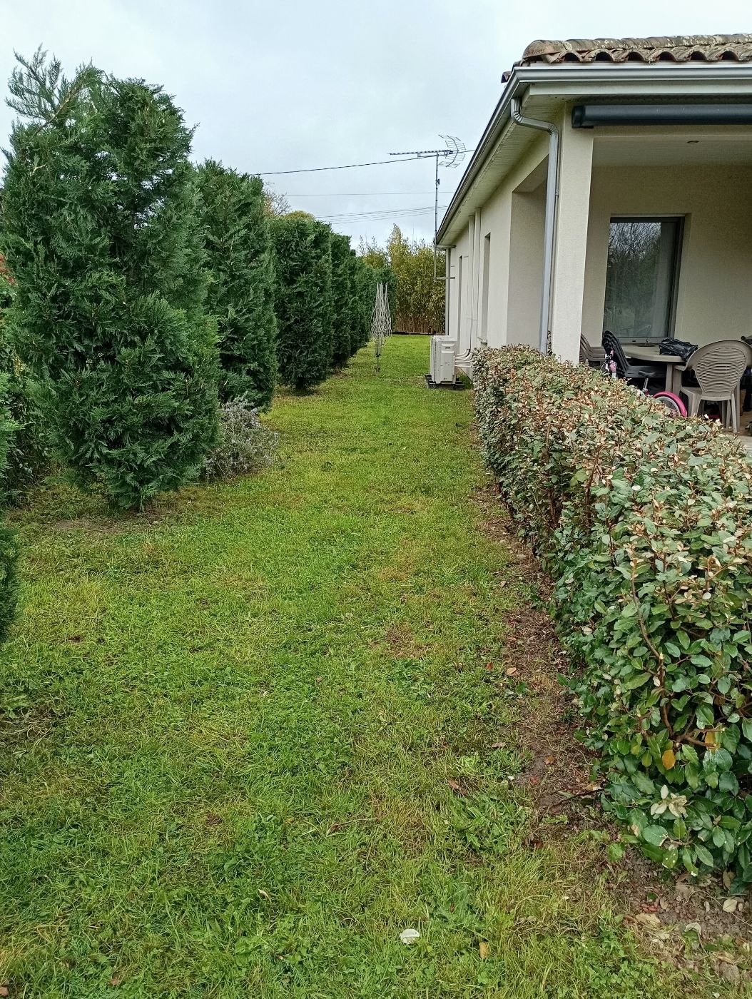 Taille de différentes Haies, Montagne, réalisé par Le Jardin de Yoann