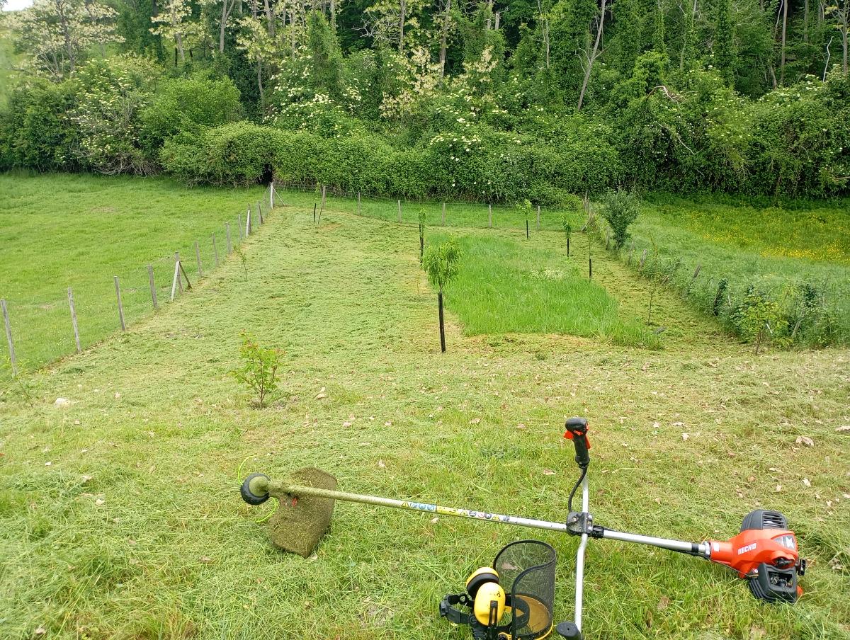 Chantier d'entretien de jardin réalisé par Le Jardin de Yoann, paysagiste du réseau Factotum, près de Les Billaux