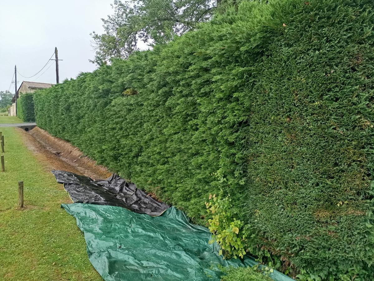 Chantier d'entretien de jardin réalisé par Le Jardin de Yoann, paysagiste du réseau Factotum, près de Les Billaux