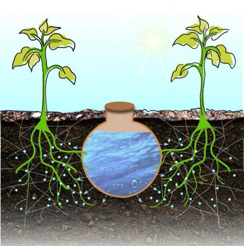 vu sur l'irrigation